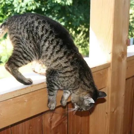 Schoenhaar Schwenden 2 Διαμέρισμα Argenbuhl