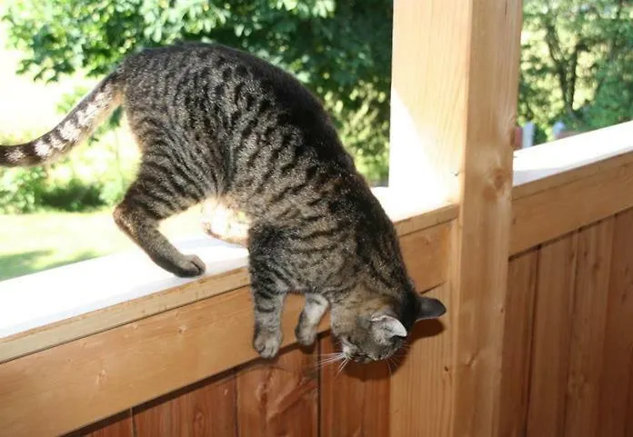 Schoenhaar Schwenden 2 Lägenhet Argenbuhl